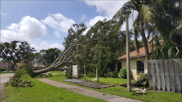 Irma1